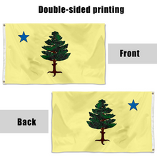 Fyon Maine 1901 to 1909 flag Indoor and outdoor banner