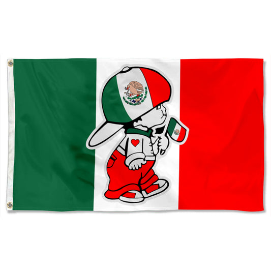 Fyon Mexican Boy holding Mexico National Wall Garage Flag Banner