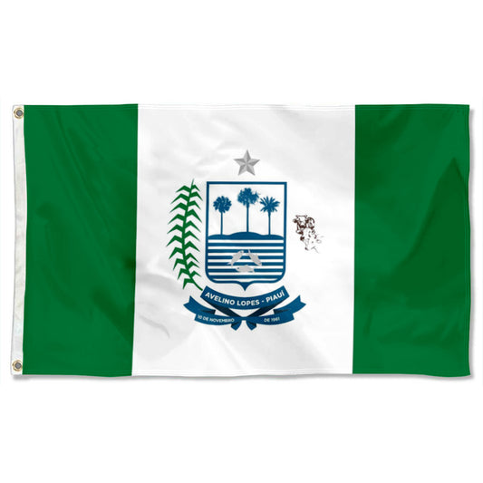 Fyon Município de Avelino Lopes Flag banner