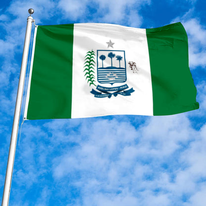 Fyon Município de Avelino Lopes Flag banner