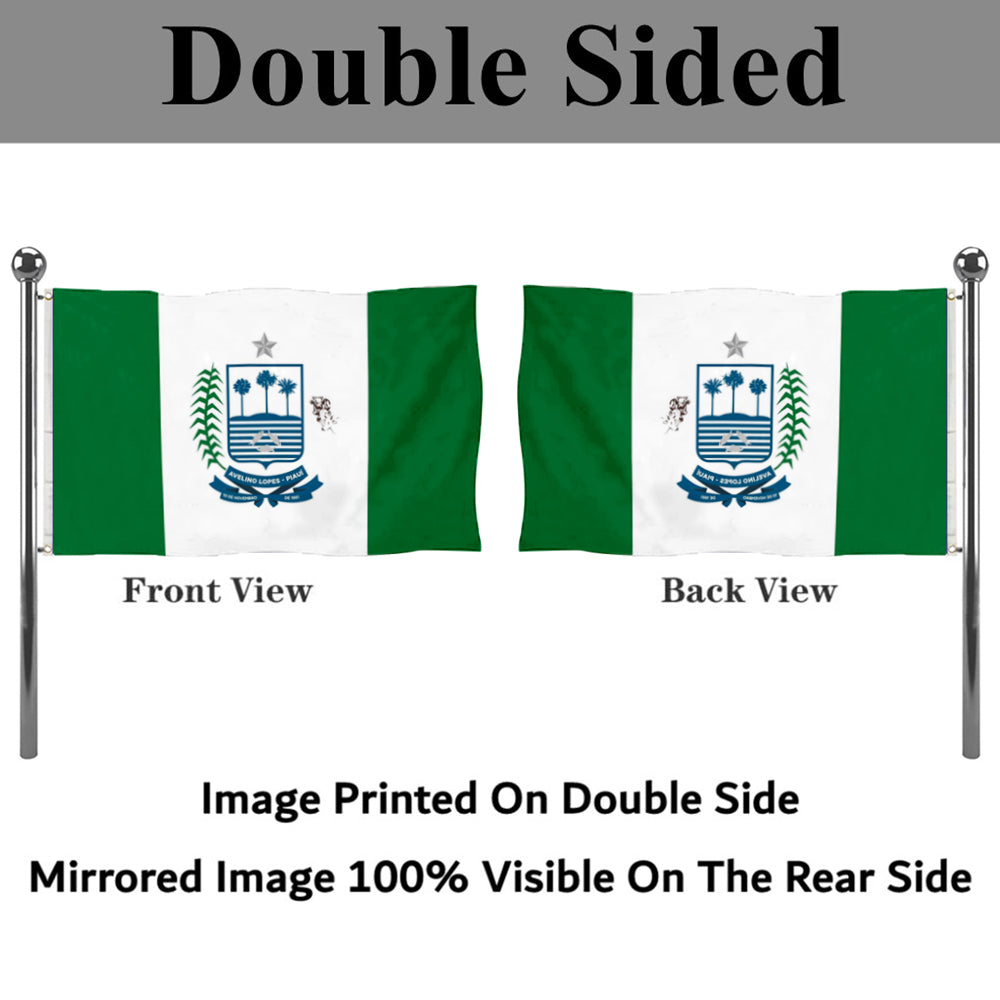 Fyon Município de Avelino Lopes Flag banner