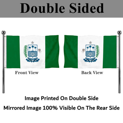 Fyon Município de Avelino Lopes Flag banner