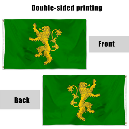 Fyon Narnia New Dynasty flag Indoor and outdoor banner