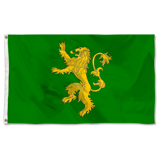 Fyon Narnia New Dynasty flag Indoor and outdoor banner