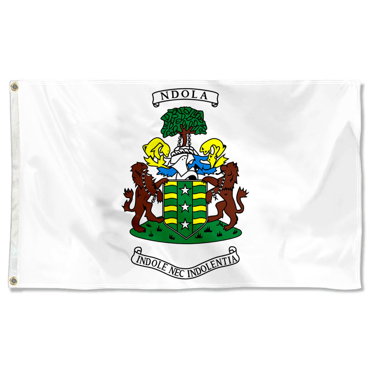 Fyon Ndola, Zambia flag Indoor and outdoor banner