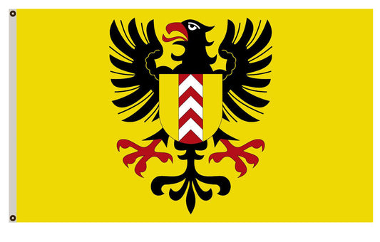 Fyon of Neuchâtel flag Switzerland banner