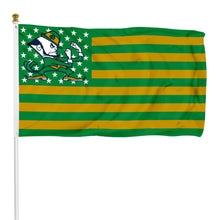 Fyon Notre Dame Fighting Irish Stars and Stripes Flag Banner