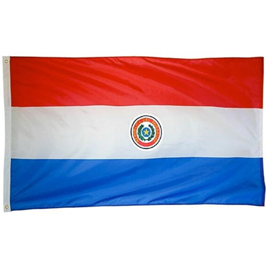 Paraguay Flag Indoor and outdoor banner