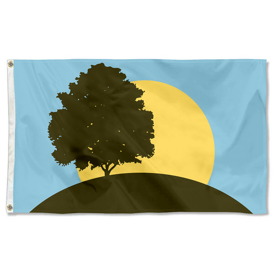 Fyon Pleasant Ridge, Michigan Flag