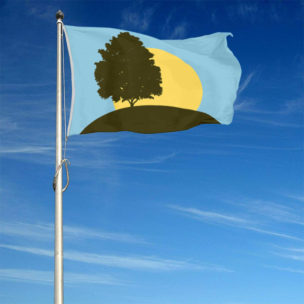 Fyon Pleasant Ridge, Michigan Flag