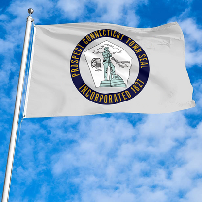 Fyon Prospect, Connecticut flag  Banner