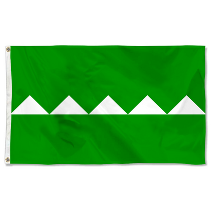 Fyon Salinas, Puerto Rico flag banner