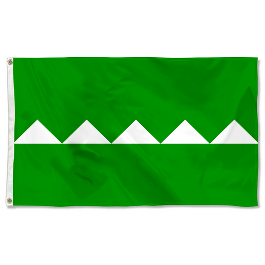 Fyon Salinas, Puerto Rico flag banner