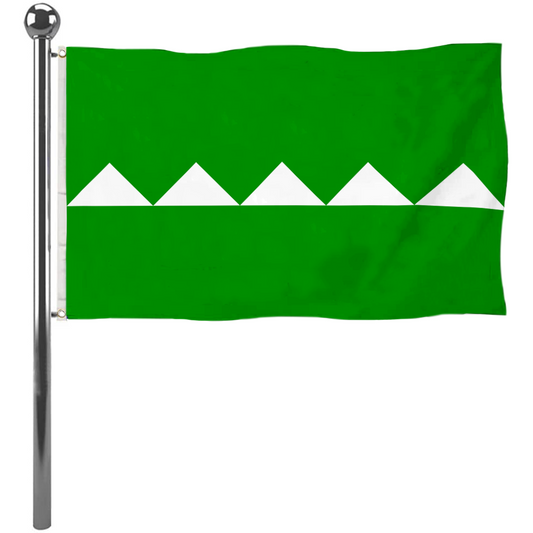 Fyon Salinas, Puerto Rico flag banner