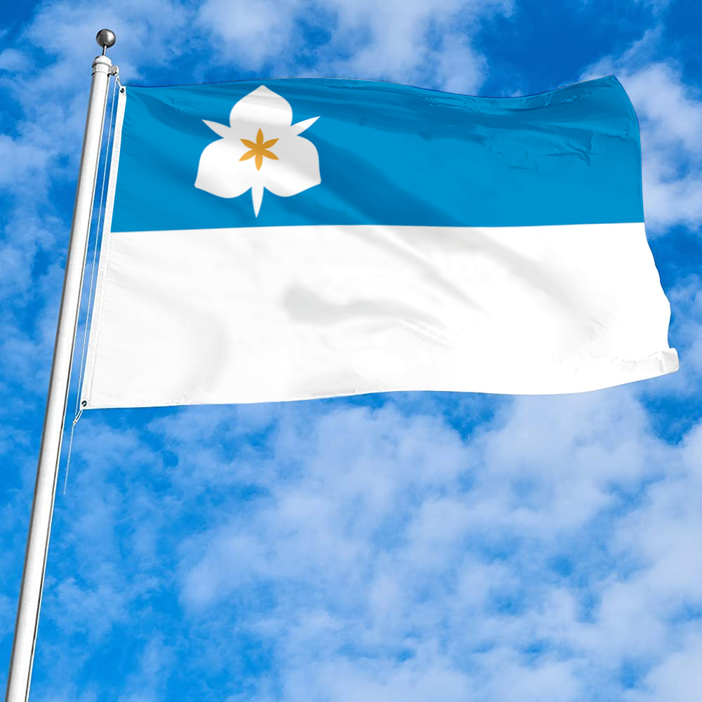 Fyon Salt Lake City, Utah flag(2020) Banner