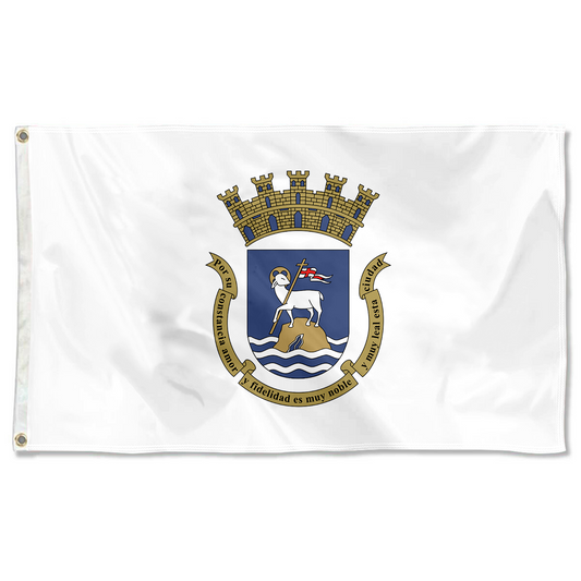 Fyon San Juan, Puerto Rico flag  banner