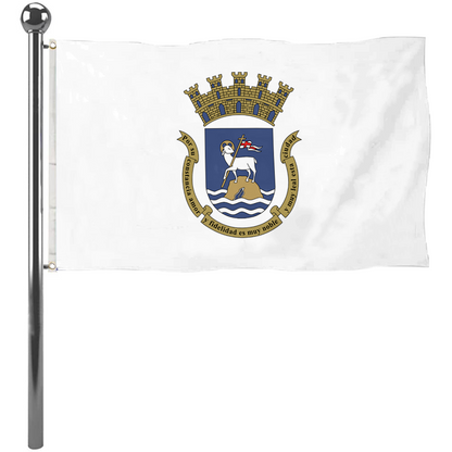 Fyon San Juan, Puerto Rico flag  banner