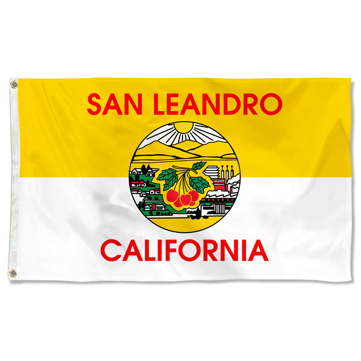 Fyon San Leandro, California Flag Banner