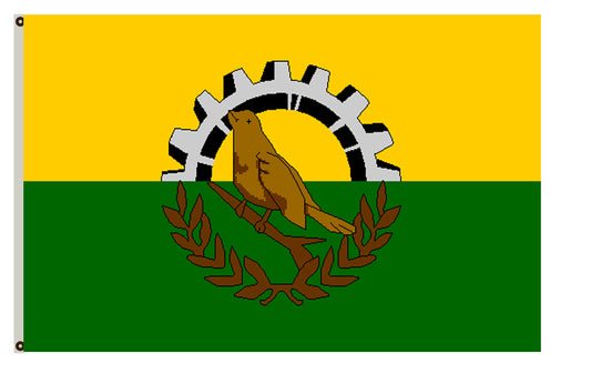 San Pedro Sula Honduras flag