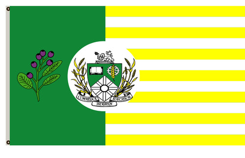 Saskatoon Flag