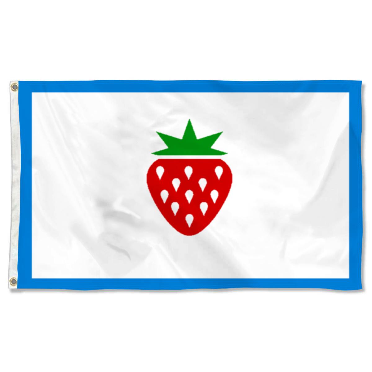 Fyon Searcy County, Arkansas Flag Banner