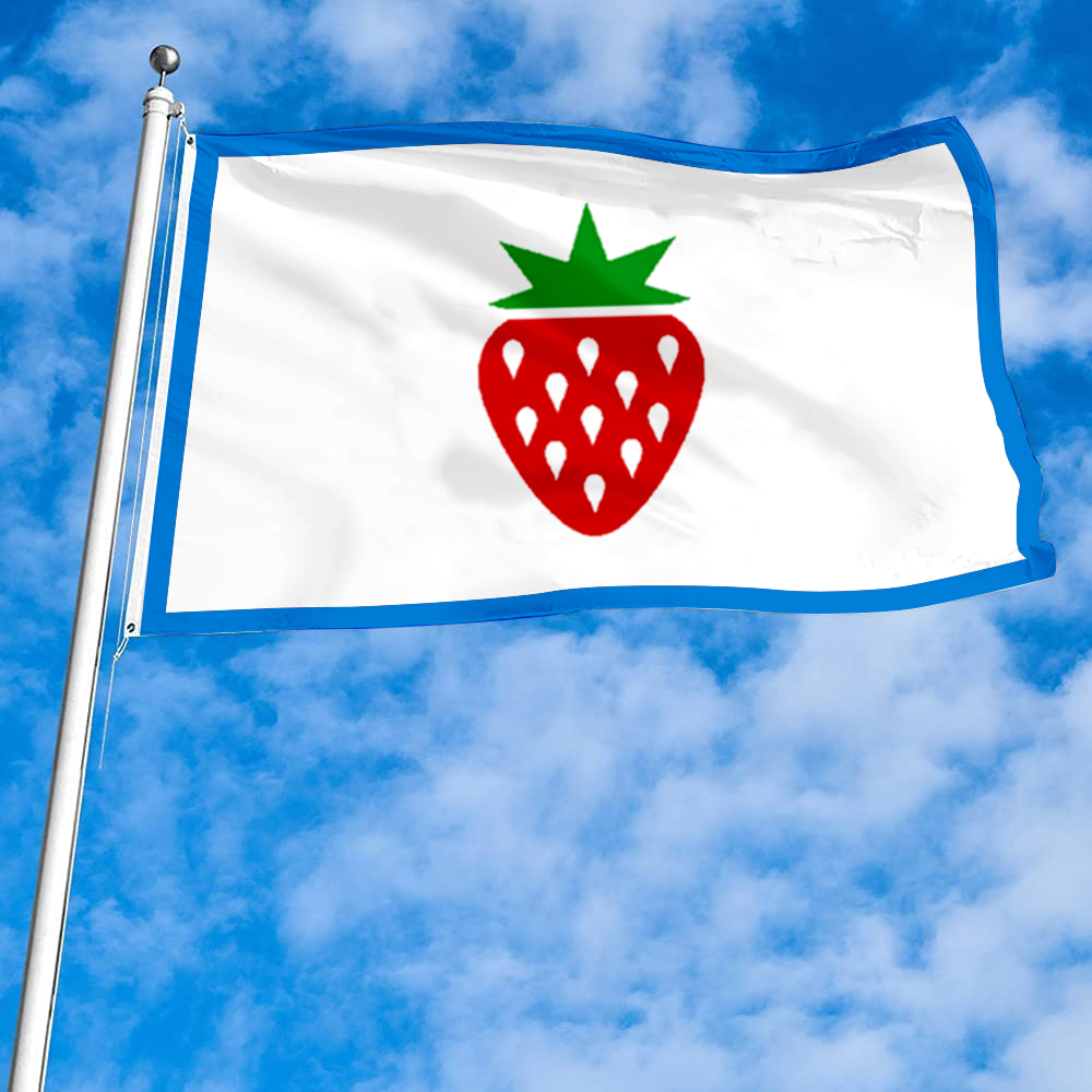Fyon Searcy County, Arkansas Flag Banner