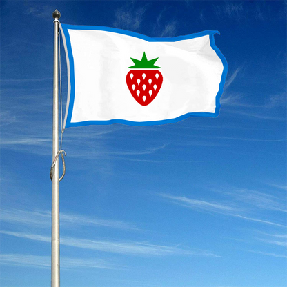 Fyon Searcy County, Arkansas Flag Banner