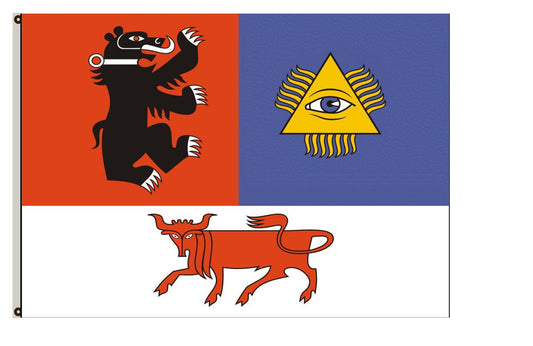 Siauliai Lithuania flag