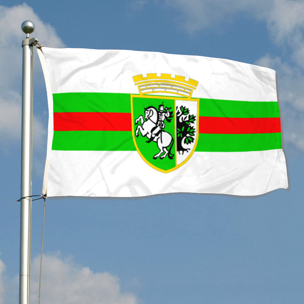 Fyon Sliven City (and province), Bulgaria Flag Indoor and outdoor banner