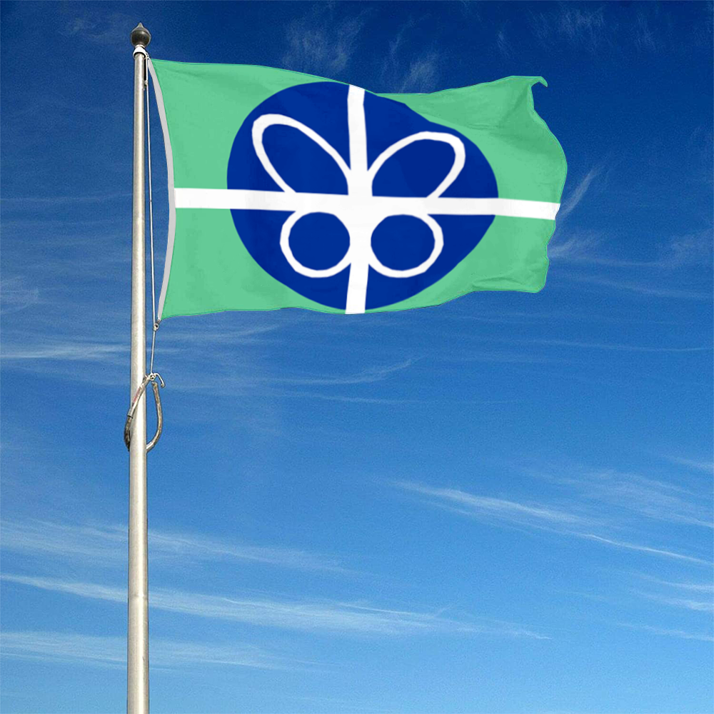 Fyon Springfield, Virginia flag banner