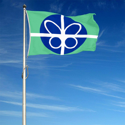 Fyon Springfield, Virginia flag banner