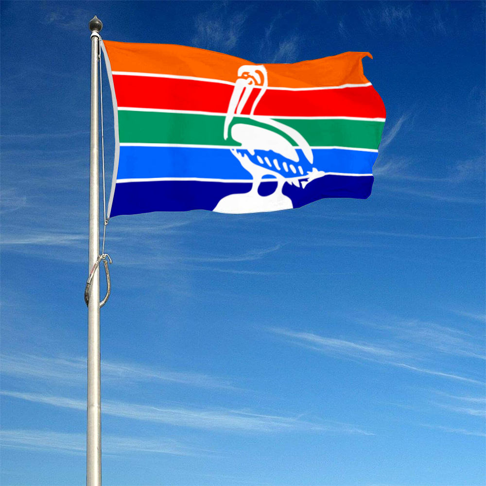Fyon St.Petersburg, Florida flag  Banner