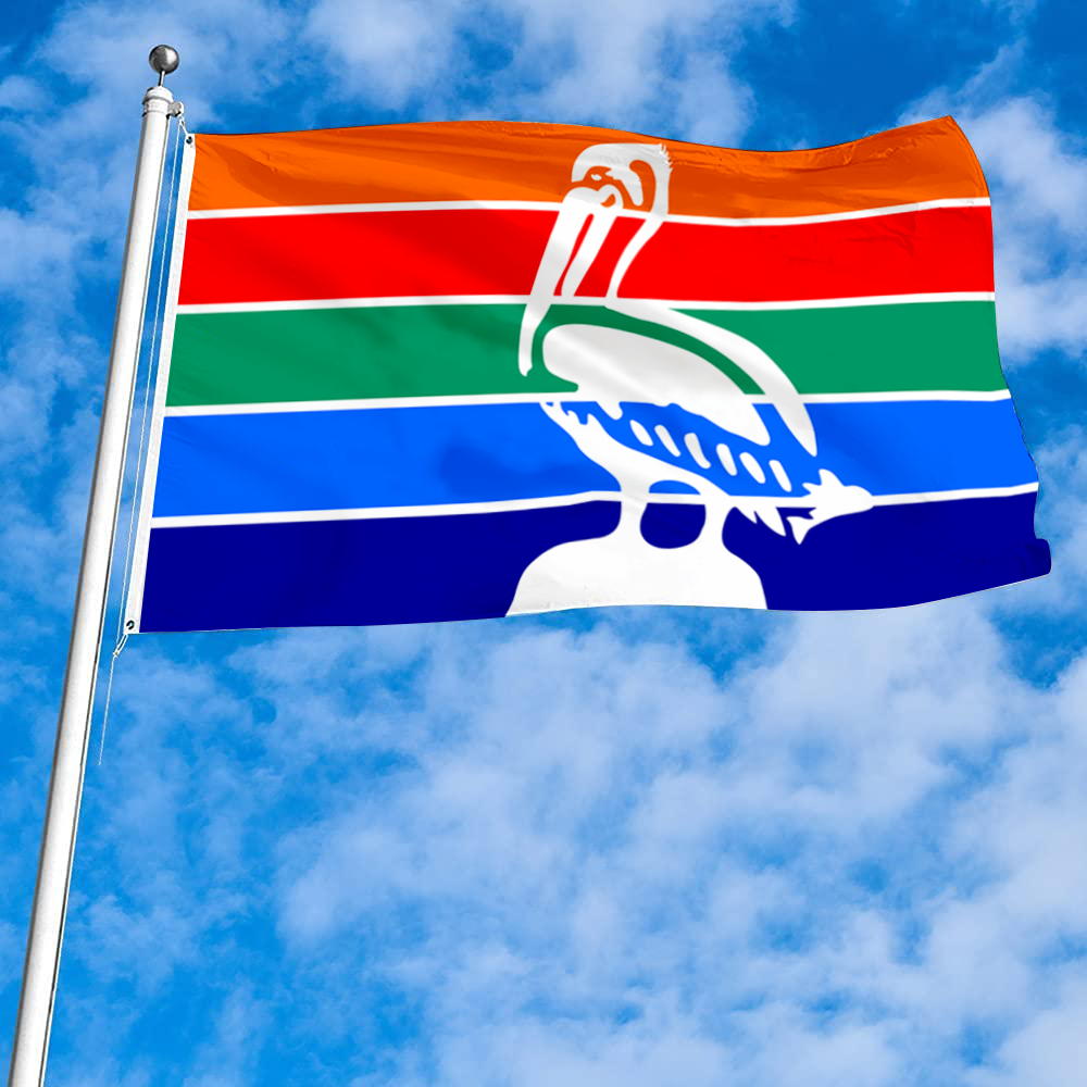 Fyon St.Petersburg, Florida flag  Banner