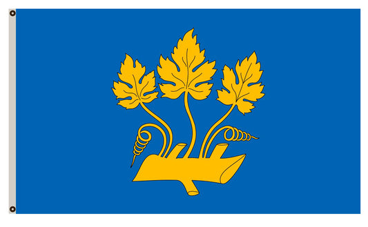 Fyon of Stavanger flag Norway banner