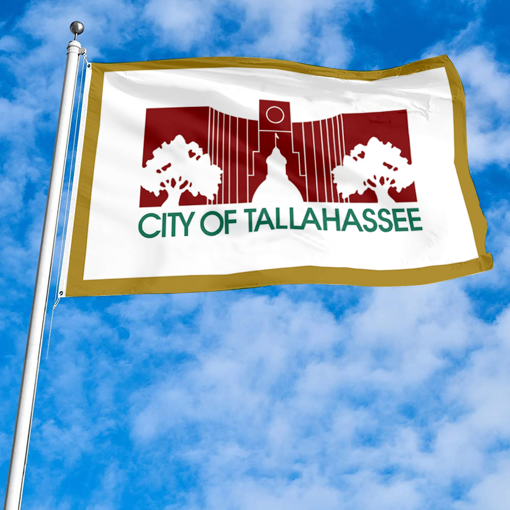 Fyon Tallahassee, Florida flag(City Hall Silhouette Flag,used 1986-2002) flag  Banner