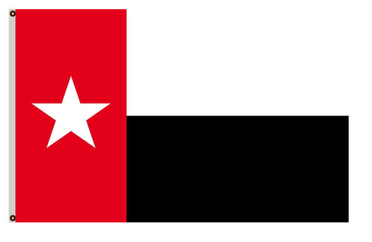 Tamaulipas Proposal banner landscape flag