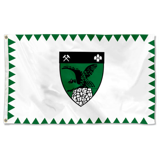 Fyon Tatabanya, Hungary Flag Indoor and outdoor banner