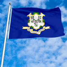 Fyon The United States Connecticut Flag Banner