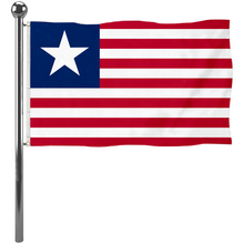 Fyon The United States Florida Provisional 1861 Flag Banner