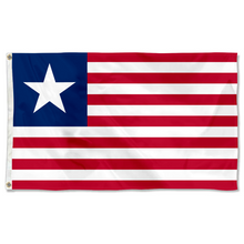 Fyon The United States Florida Provisional 1861 Flag Banner