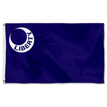 Fyon The United States Fort Moultrie, South Carolina Flag Banner