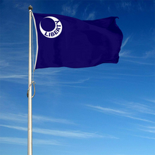 Fyon The United States Fort Moultrie, South Carolina Flag Banner