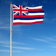 Fyon The United States Hawaii Flag Banner