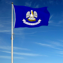 Fyon The United States Louisiana (2006–2010) Flag  Banner