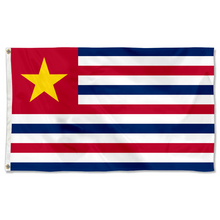 Fyon The United States Louisiana (February 1861 –1912) Flag  Banner