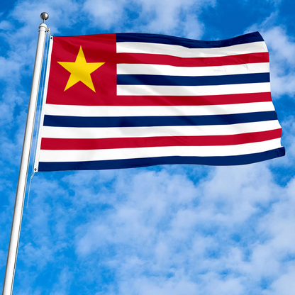 Fyon The United States Louisiana (February 1861 –1912) Flag  Banner