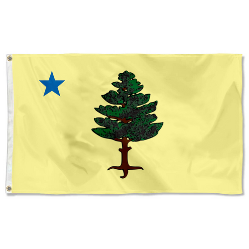 Fyon The United States Maine (1901–1909) Flag  Banner