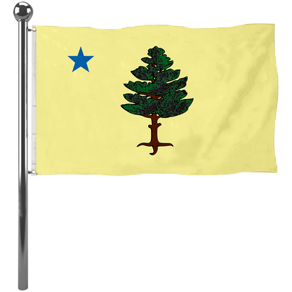 Fyon The United States Maine (1901–1909) Flag  Banner