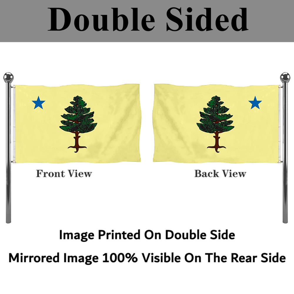 Fyon The United States Maine (1901–1909) Flag  Banner