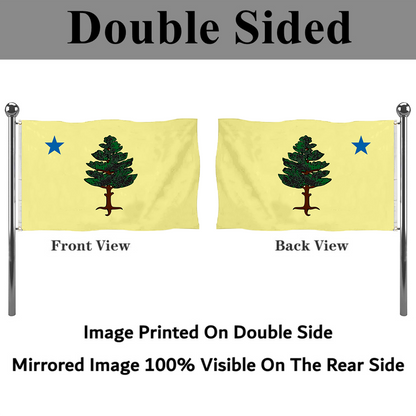 Fyon The United States Maine (1901–1909) Flag  Banner